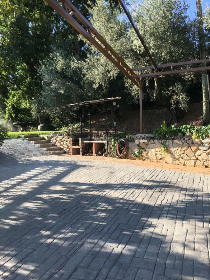 Casa De Los Alamos Periana Ngoại thất bức ảnh